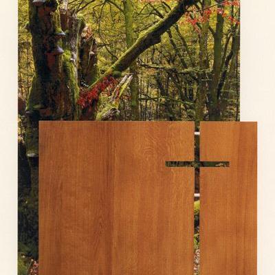 Grabholz Fichtel