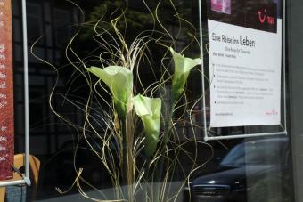 Schaufenster Dokoration