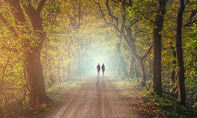 Zwei Menschen laufen einem Waldweg ins Licht entlang